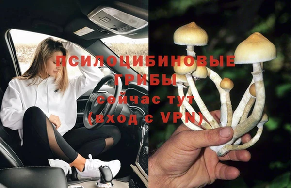метамфетамин Заводоуковск