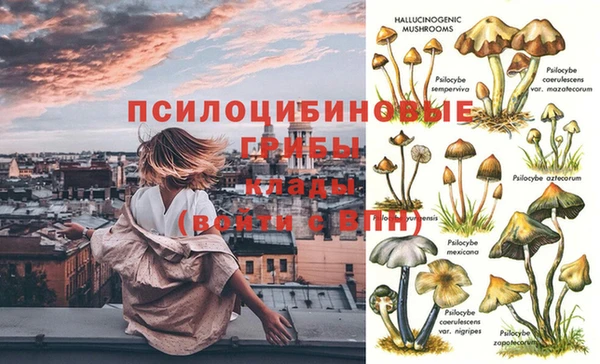 спиды Заволжск