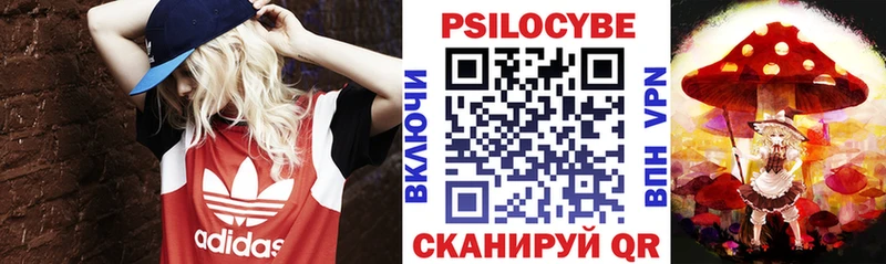 Галлюциногенные грибы MAGIC MUSHROOMS  Купить где  Кадников 